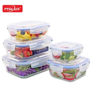 5-piece Glass Food Container with Blue Silicon Ring