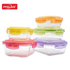 5-piece Glass Food Container with Different Lid